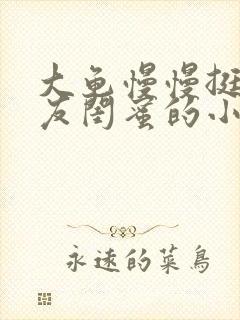 大龟慢慢挺进女友闺蜜的小说