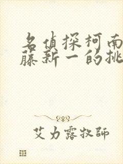 名侦探柯南给工藤新一的挑战书