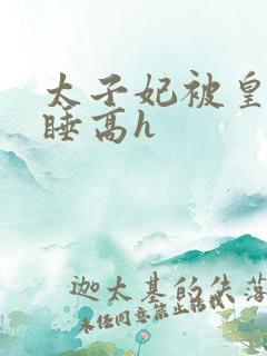 太子妃被皇上强睡高h