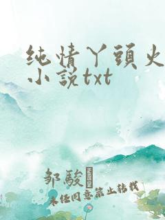 纯情丫头火辣辣小说txt