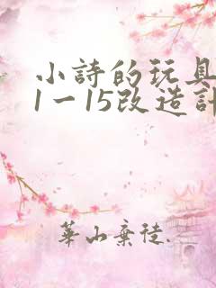 小诗的玩具日记1一15改造计划