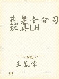 我是全公司发泄玩具LH