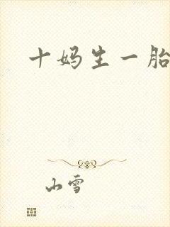 十妈生一胎