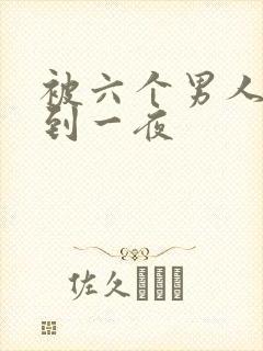 被六个男人躁J到一夜