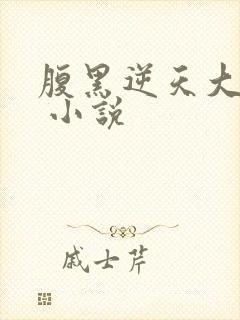 腹黑逆天大小姐 小说