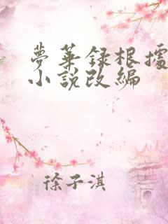 梦华录根据什么小说改编