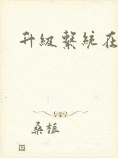 升级系统在斗破