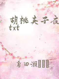 胡桃夹子夜未眠txt