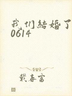 我们结婚了130614