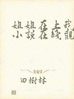 姐姐在上我在下小说在线观看