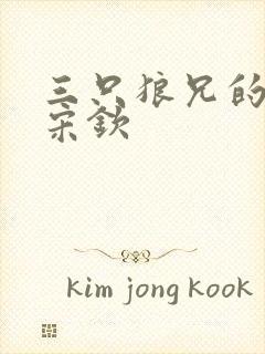 三只狼兄的宠妻宋钦