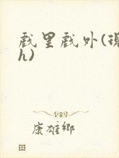 戏里戏外(现场h)