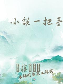 小说一把手