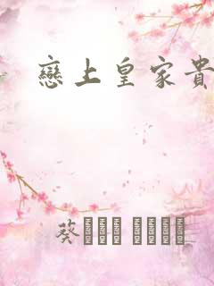 恋上皇家贵公主