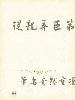 从龙弄臣第一次