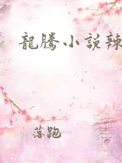 龙腾小说辣文网