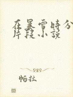 在暴雪时分高能片段小说