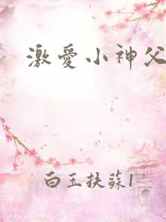 激爱小神父