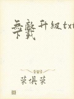 无敌升级txt下载