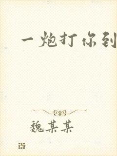 一炮打你到天亮