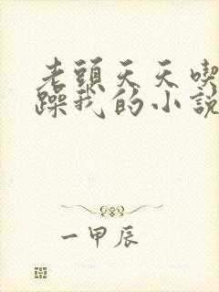 老头天天吃我奶躁我的小说