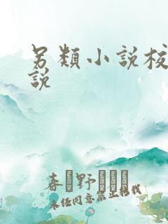 另类小说校园小说