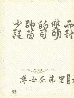 少帅的双面宠妻段茵司明封免费