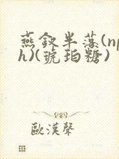 燕钗半落(nph)(琥珀糖)