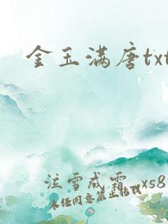 金玉满唐txt