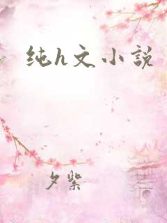 纯h文小说