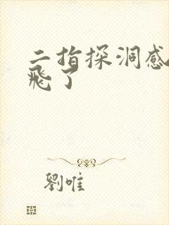 二指探洞感觉要飞了