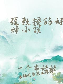 张教授的好儿媳妇小说