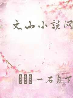 文山小说网
