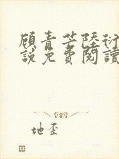 顾青芒陆衍牧小说免费阅读