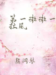 第一微微一笑很拉风