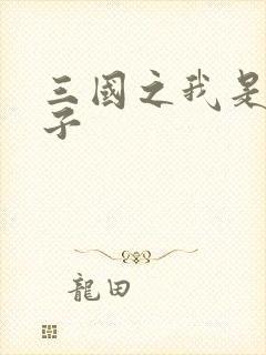 三国之我是皇太子