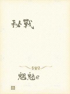 秘战