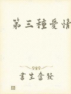 第三种爱情续集