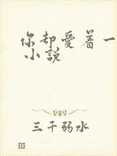 你却爱着一个他 小说