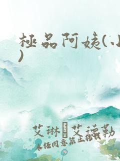 极品阿姨(小说)