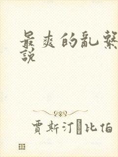 最爽的乱系列小说