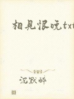 相见恨晚txt
