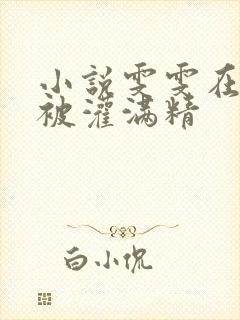 小说雯雯在工地被灌满精