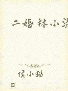 二婚 林小染