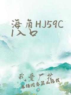 海角HJ59C1入口
