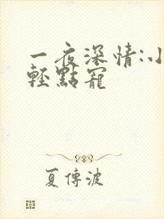 一夜深情:小叔轻点宠