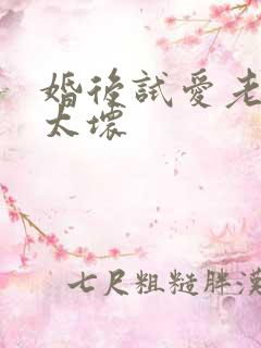 婚后试爱老公别太坏