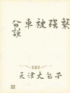 公车被强系列小说