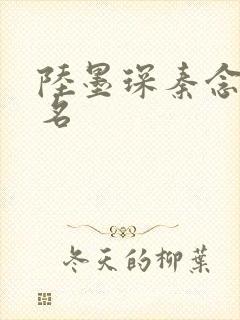 陆墨琛秦念小说名