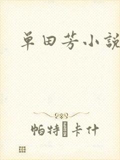 单田芳小说